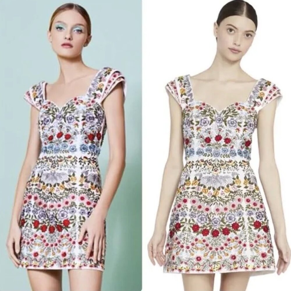 Alice and Olivia Embroidered Roz Dress